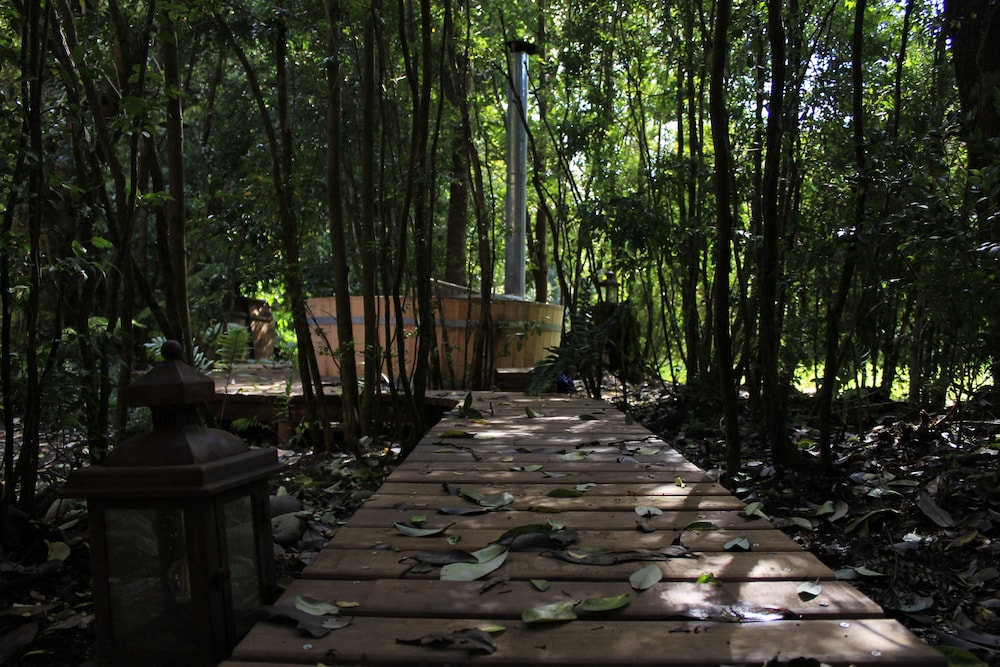 DreamWoods