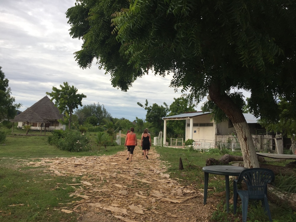 JCB resort, photo 29