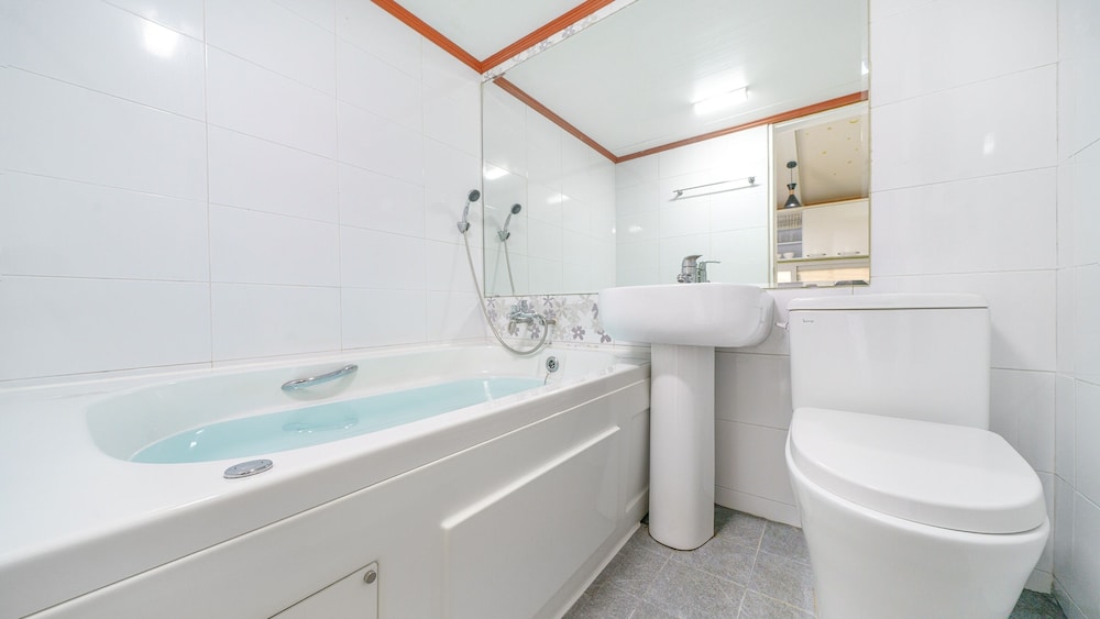 Yangpyeong Beulleosseom pet spa Pension