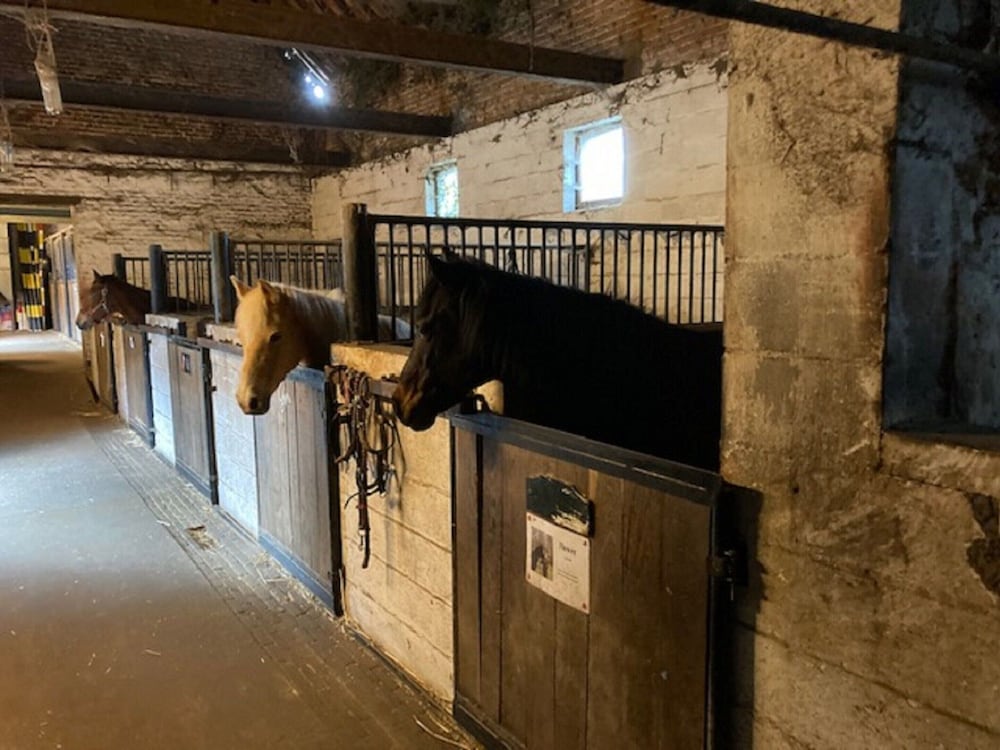 Riding School Farm Stay