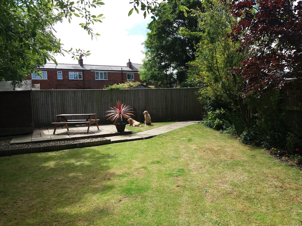 Photo 10