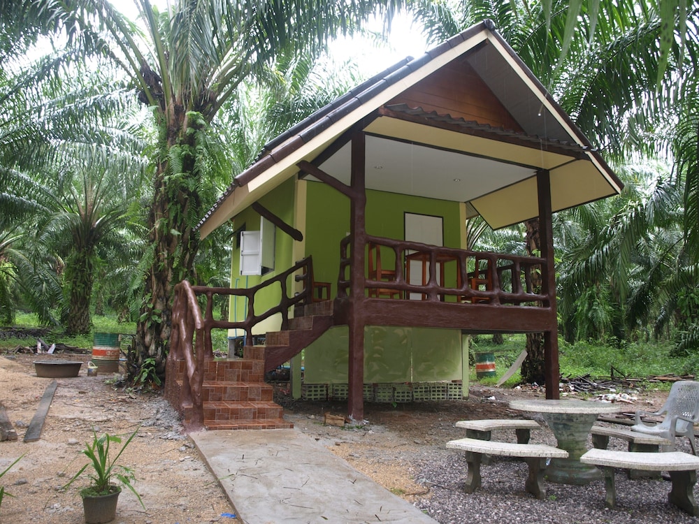Khaosok Palmview