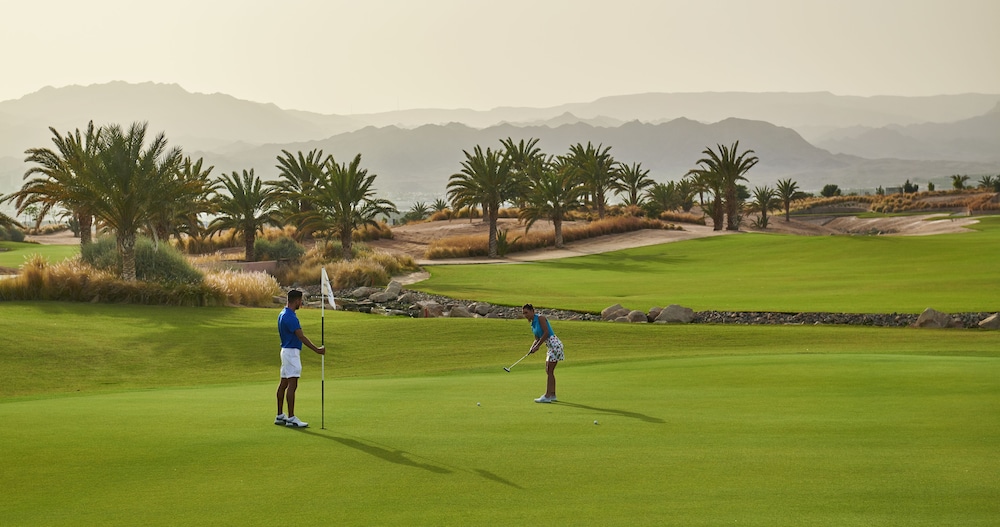 Aqaba Vacations - Hyatt Regency Aqaba Ayla Resort - Property Image 5