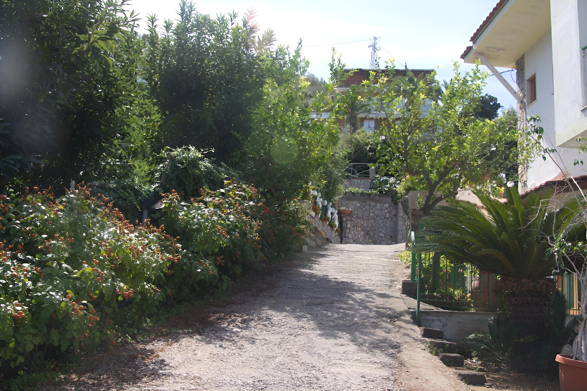 Photo 52