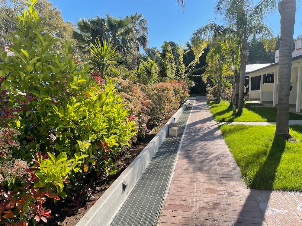 Photo 18