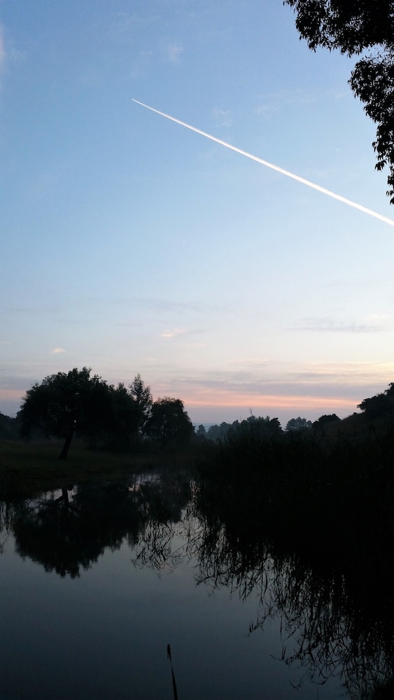 Photo 31