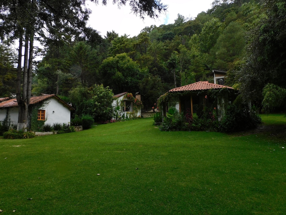 Photo 41