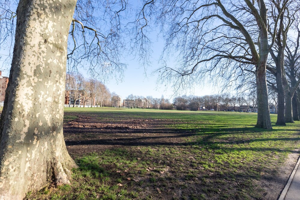 Serene and Spacious 1 Bedroom Garden Flat in Clapton