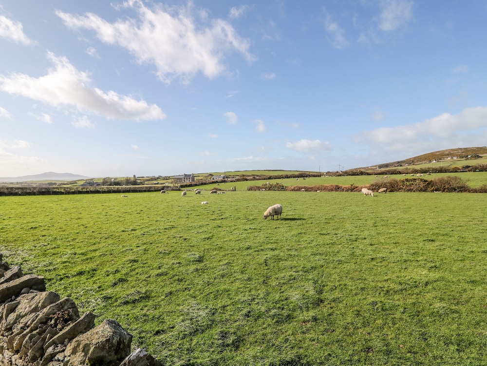 Bryn Môr