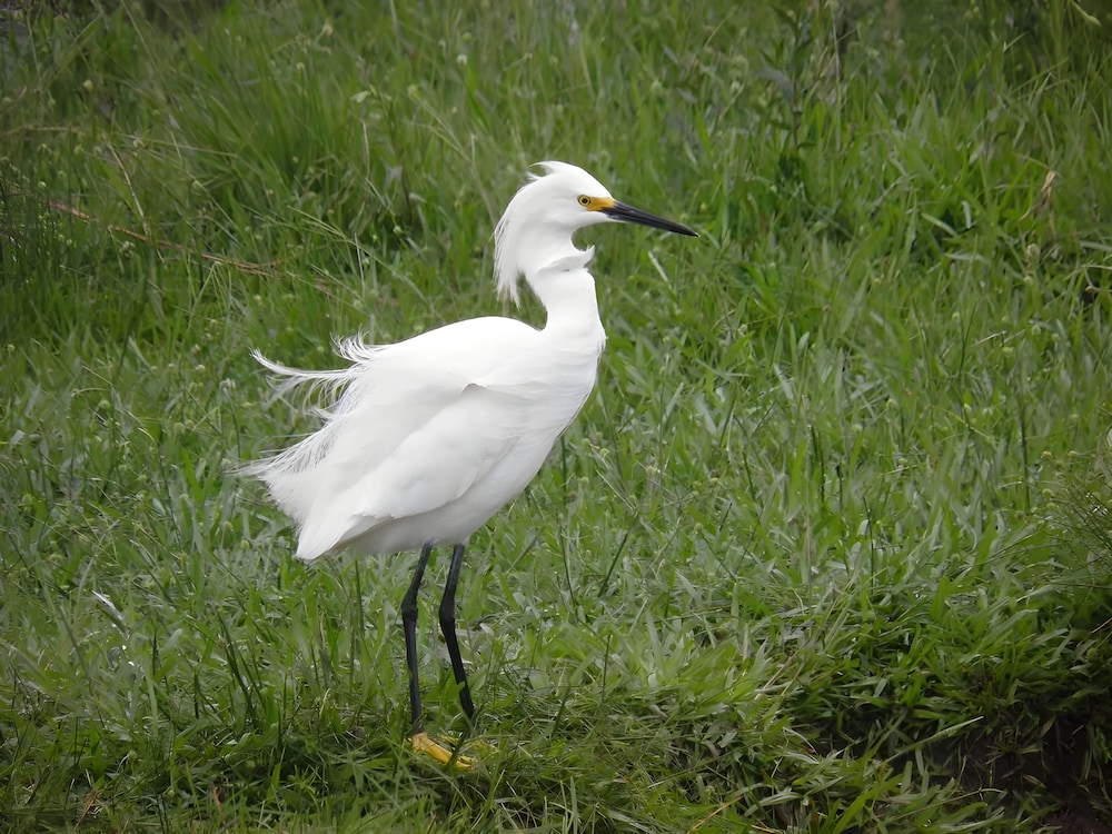 Wild Wetlands Lodge