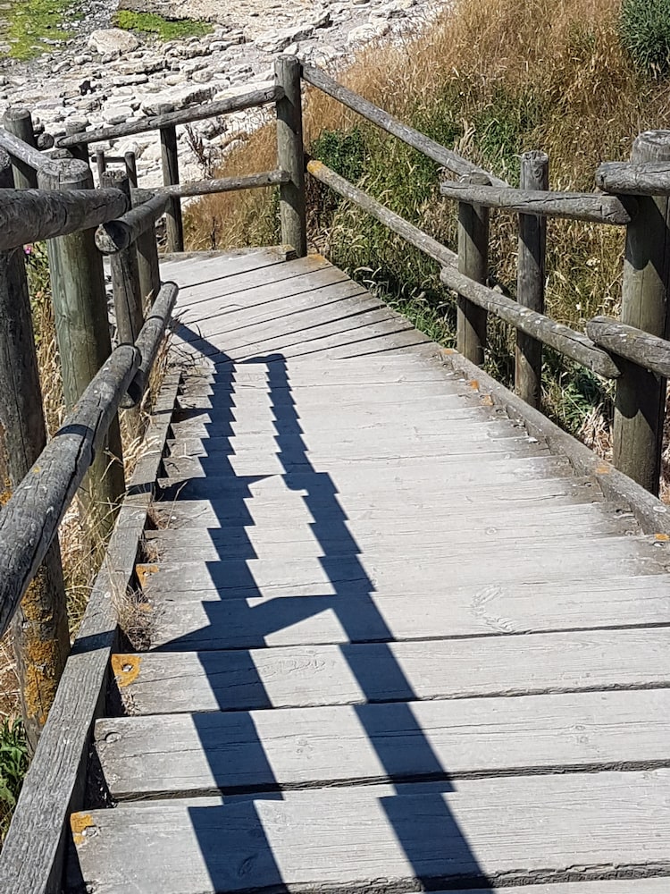 Le Sophora