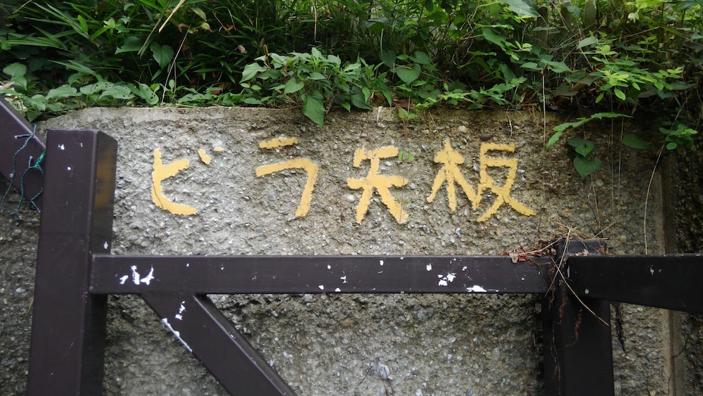 Photo 66