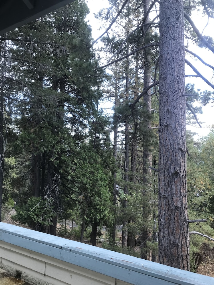 Lake Arrowhead Villas
