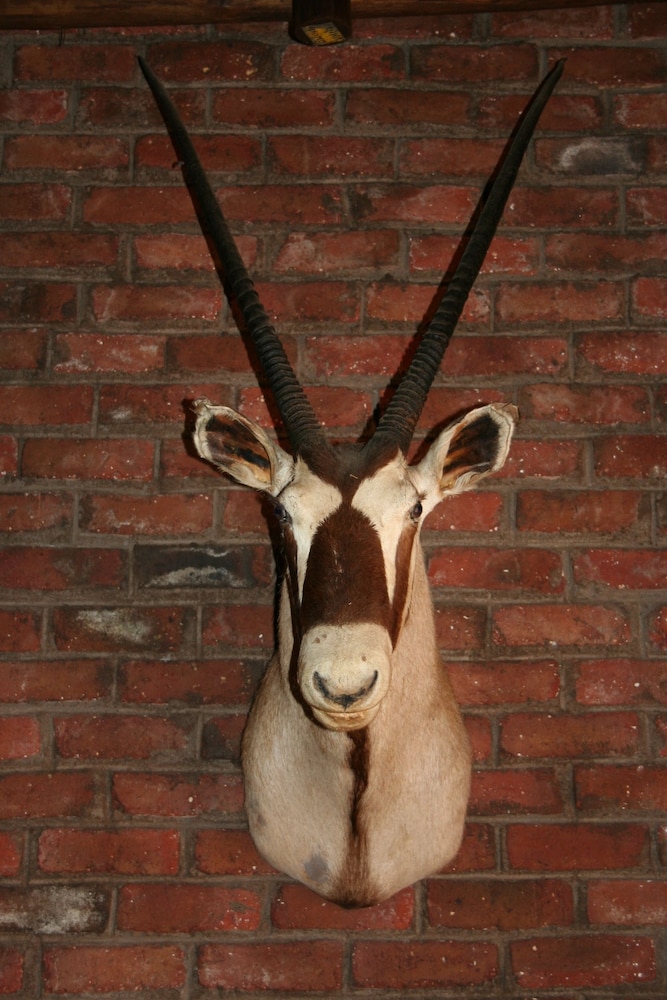 Ebenhaeser Guest Farm