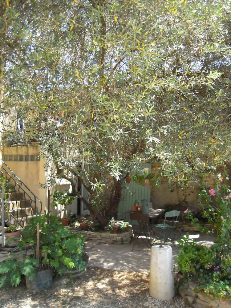 Domaine Χανόην Ραμπέρ, Φωτογραφία 21