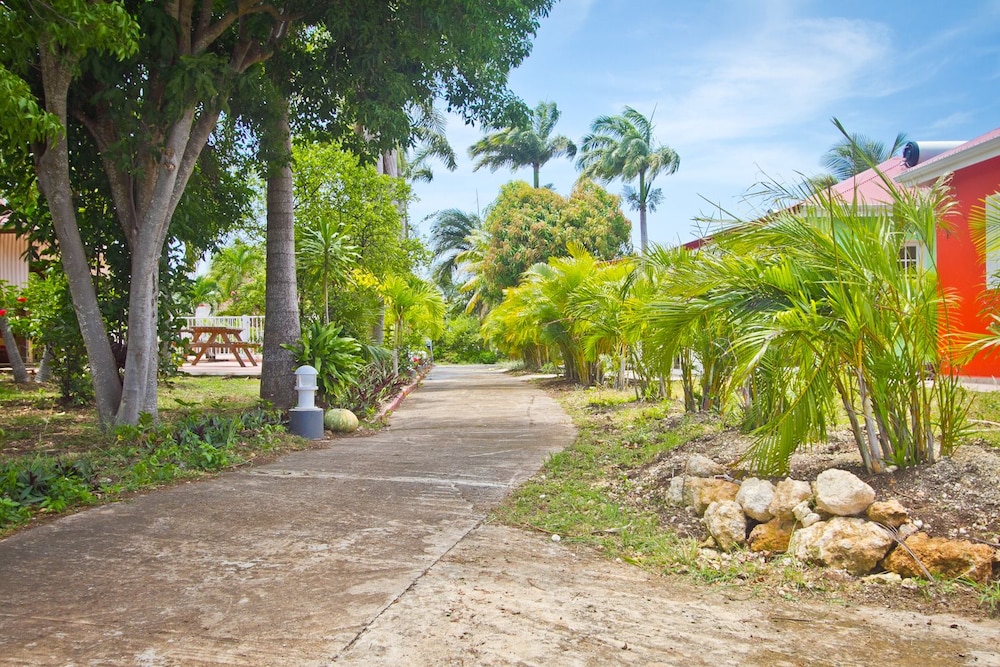 Oasis du Levant