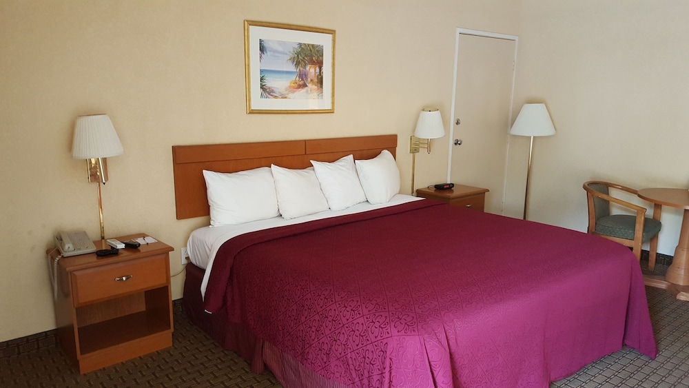 Tampa Vacations - Econo Lodge Busch Gardens - Property Image 11