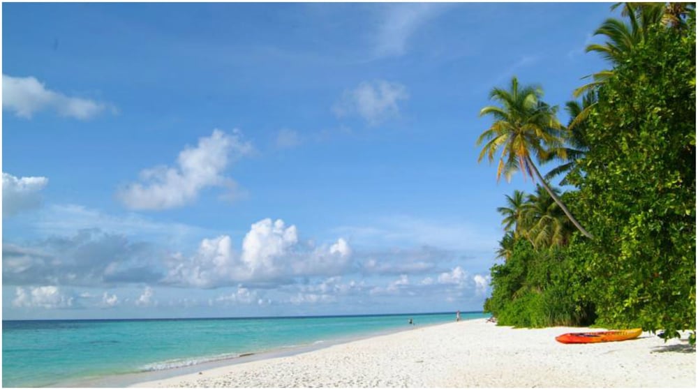 Biyadhoo Island Resort photo 4