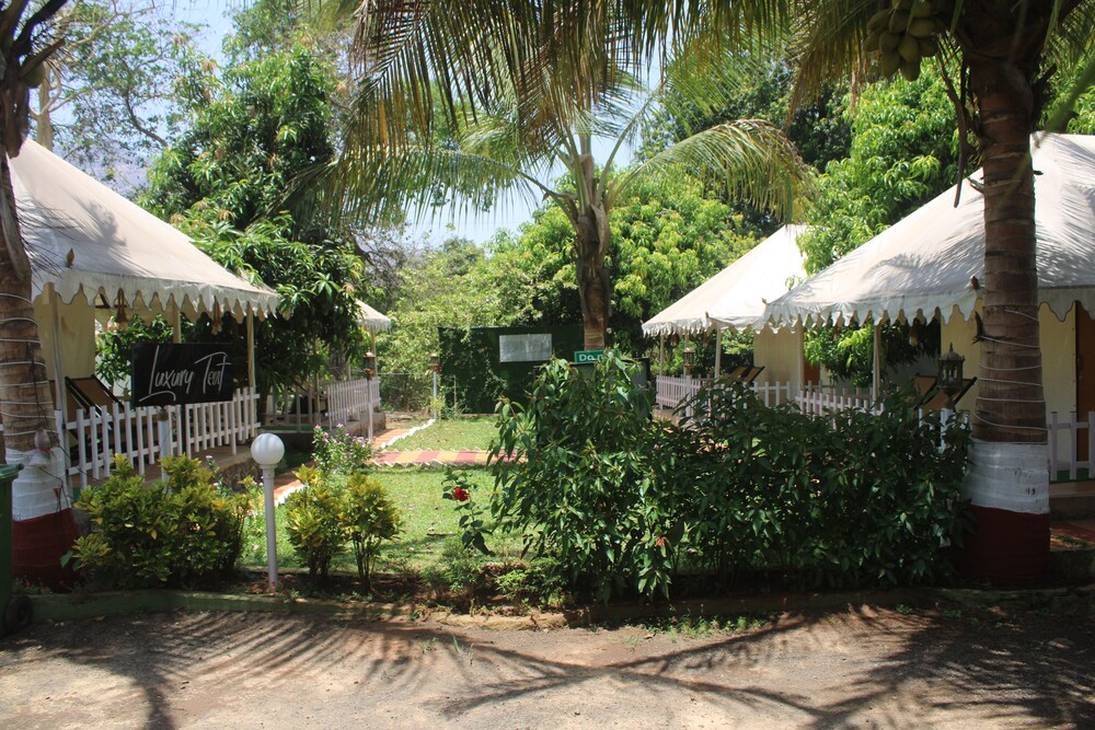 Sandy's Kinjal Farm & Tents Maharashtra view 4
