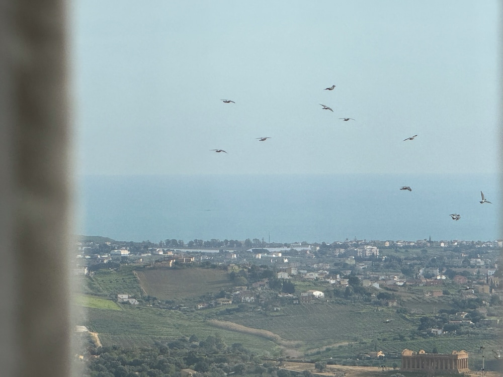 Miravalle Agrigento 2