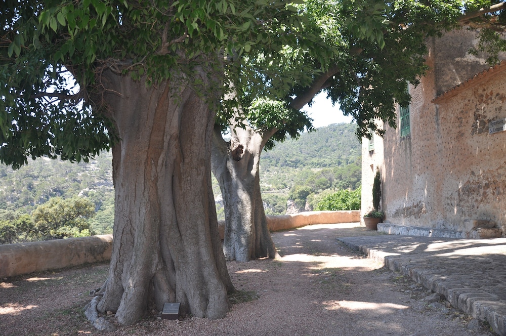 Agroturismo Sa Campaneta