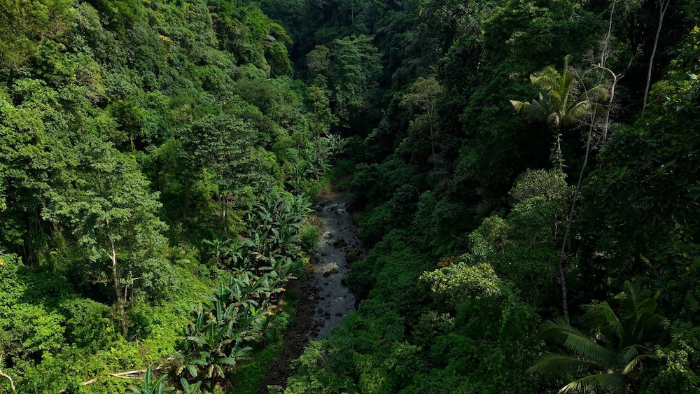 Sumeru Botanical Estate