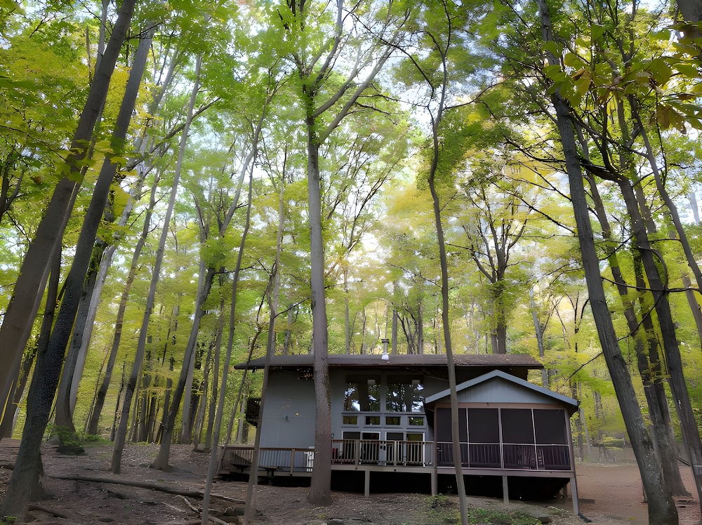 Autumn Wings - A Natural Retreat - Property Image 17