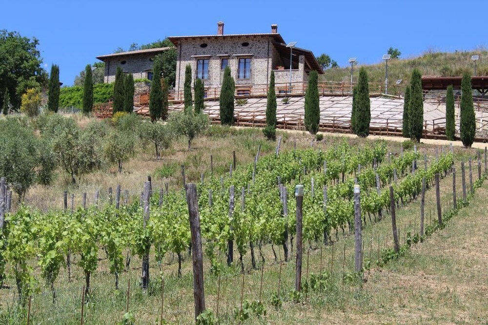 Feudi Enchestre B&B, Bilde 10
