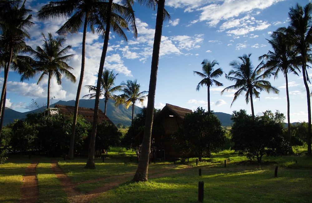 Simbamwenni Lodge and Camping, photo 16