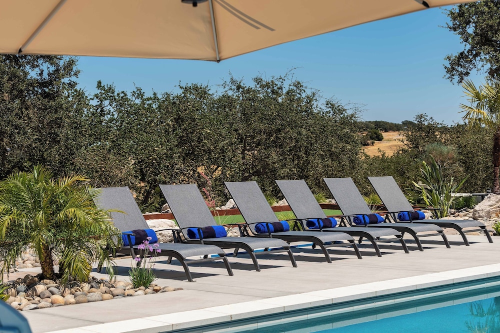 Blue Oak Oasis