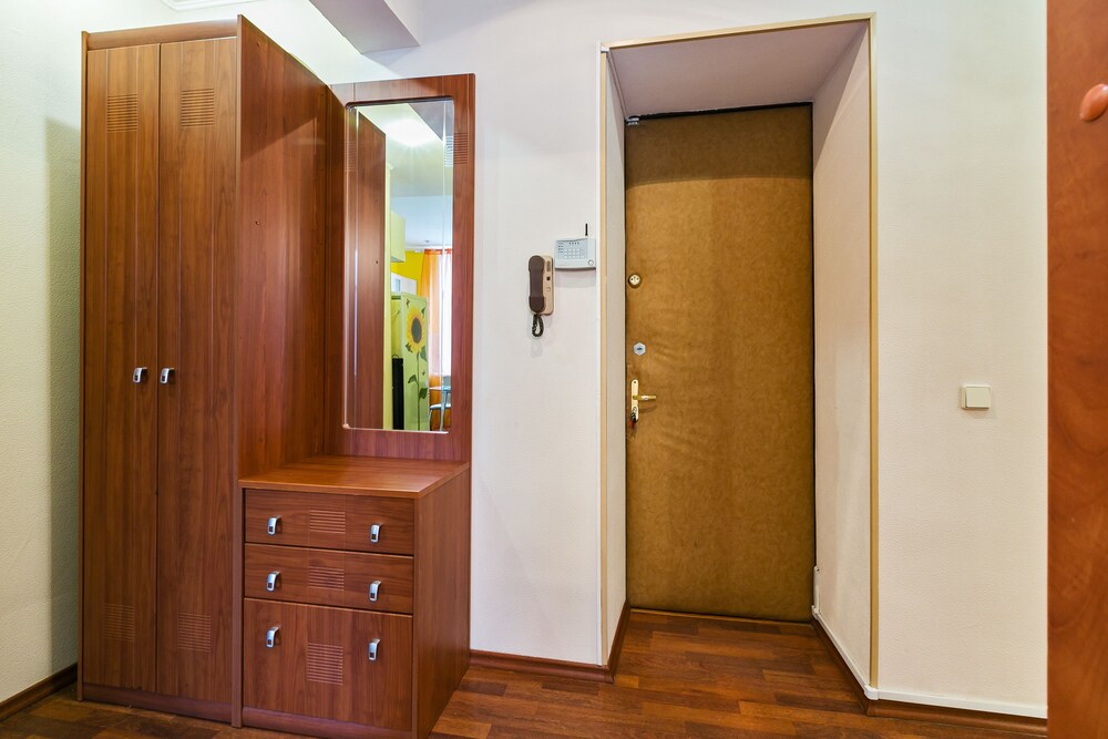 Apartment Nice Mayakovskaya