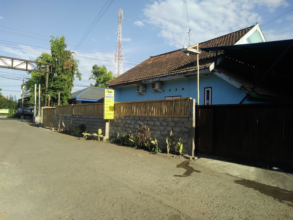 Photo 46