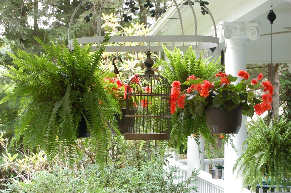 Mountain Laurel Inn