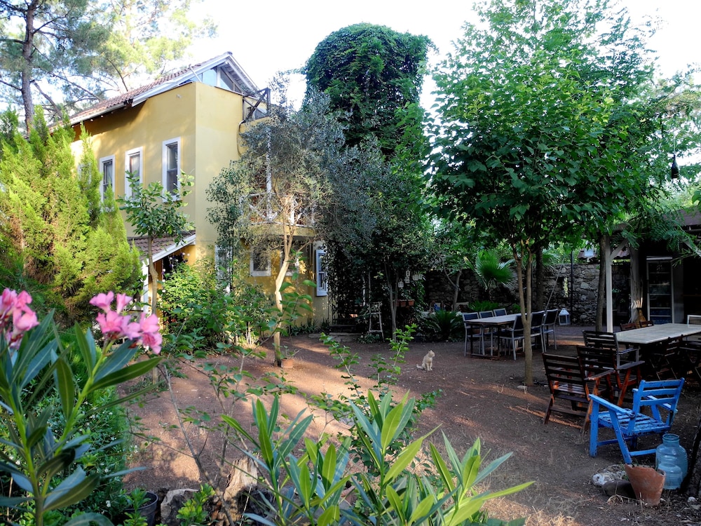 Daphne House view 3