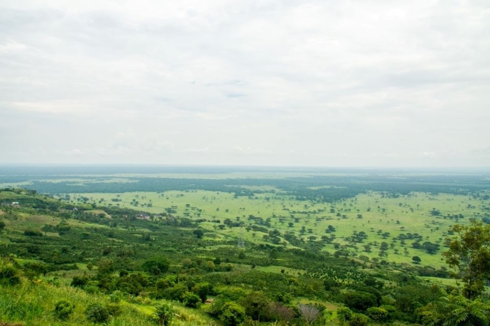 Queen Elizabeth Park View Tourist Lodge
