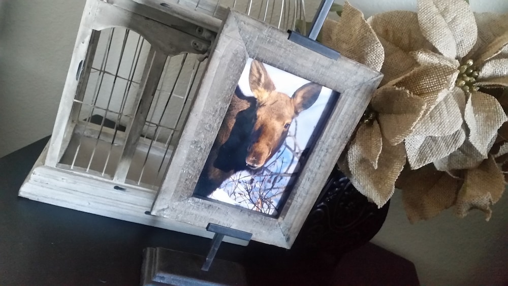 Alaska Haven - Property Image 38