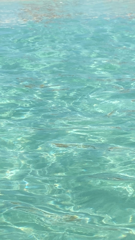 HOSTAL OLAS CLUB DE NEGUANJE - P TAYRONA