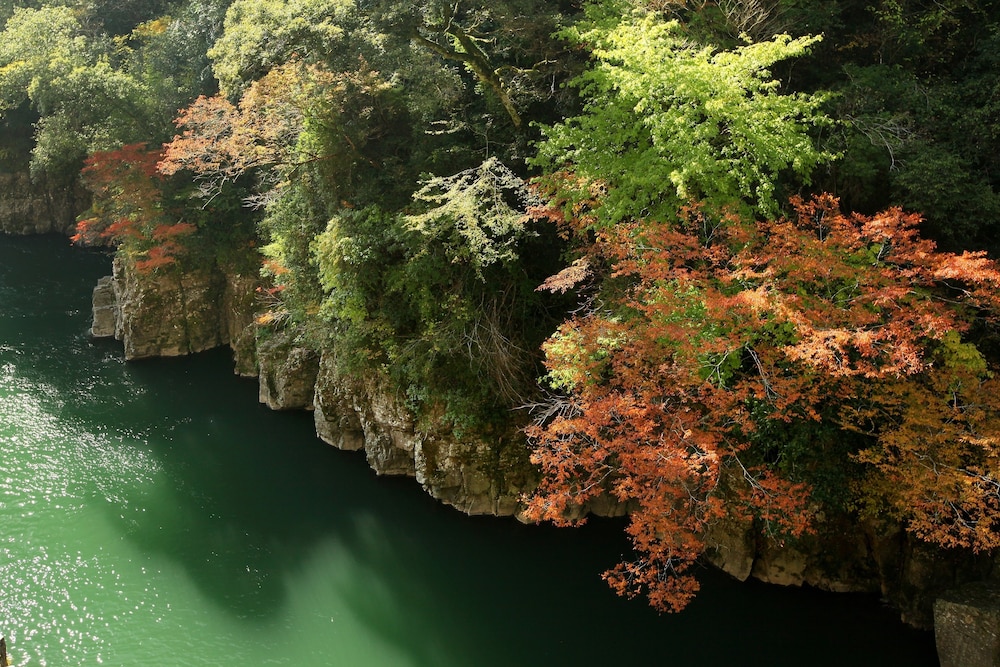 Tsuetate Onsen Hizenya
