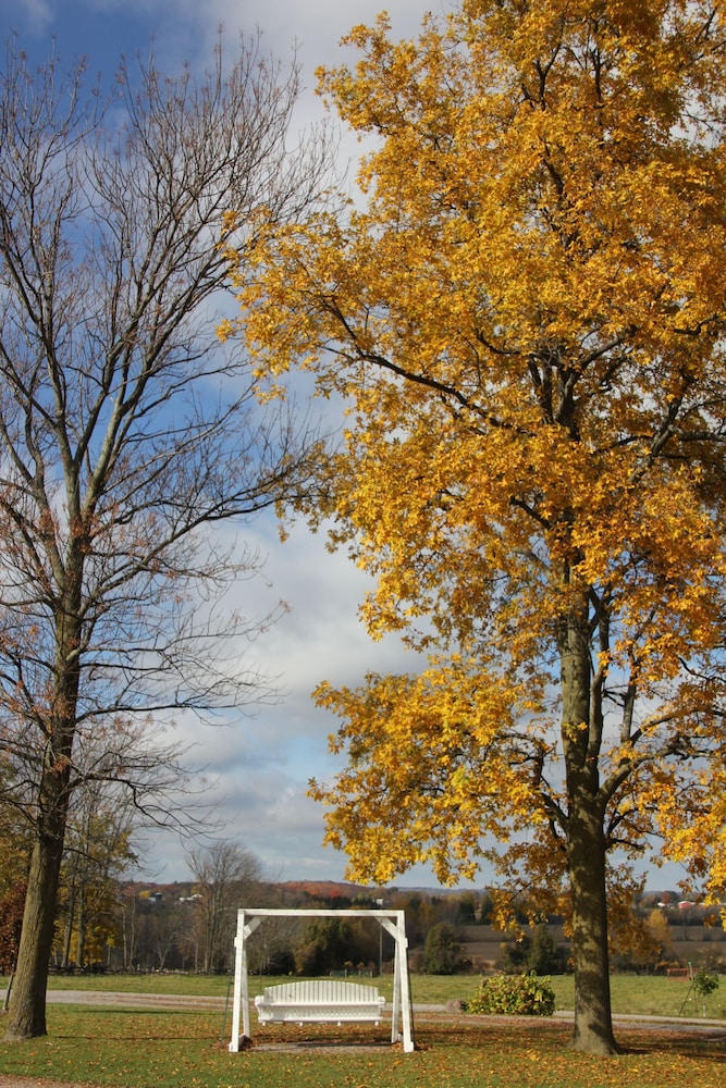 Golden Pathways Retreat and B&B