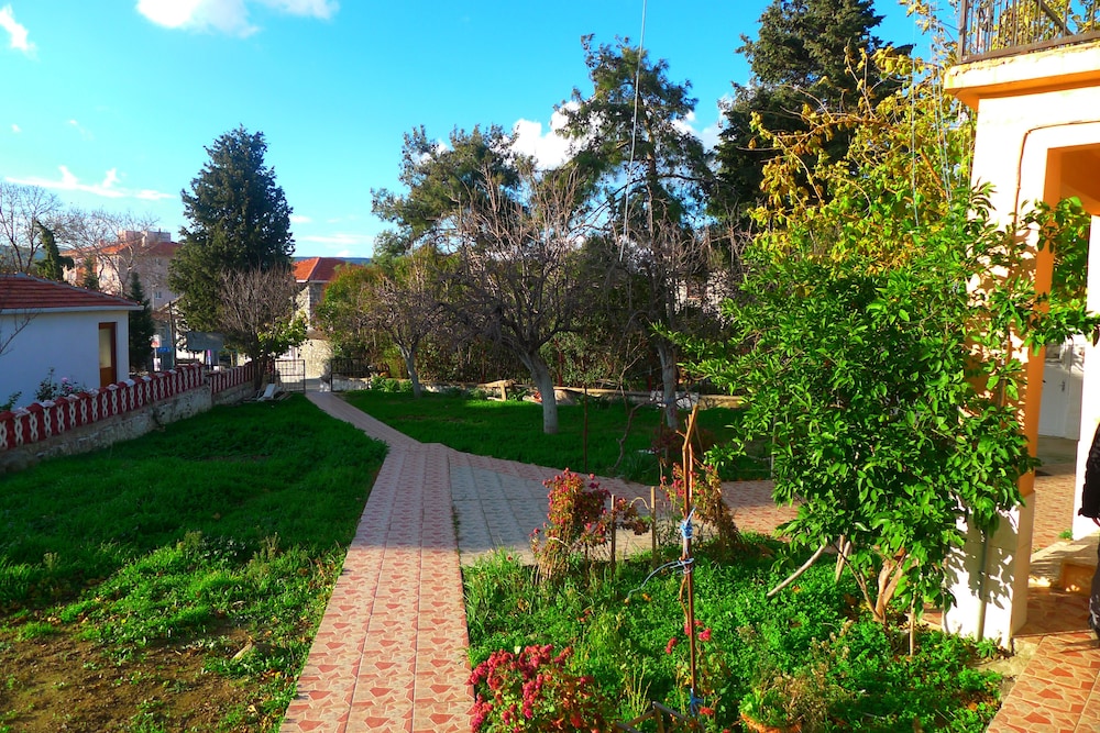 Photo 21