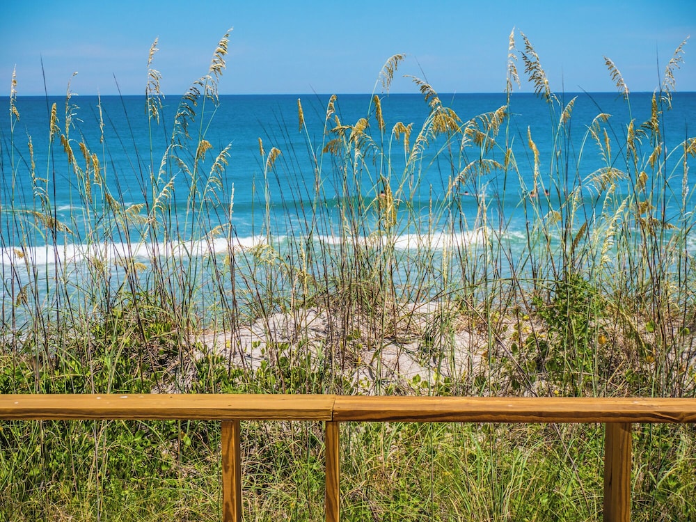 S.O.B. (Sweet Ol' Bill) by Topsail Realty