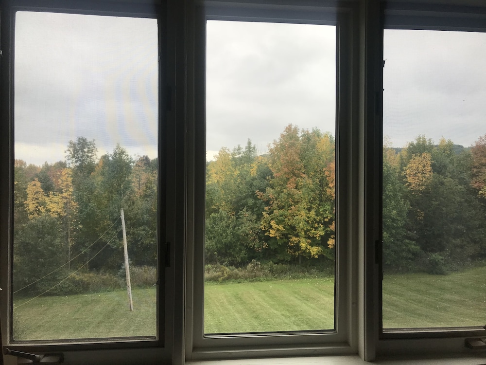 Photo 50