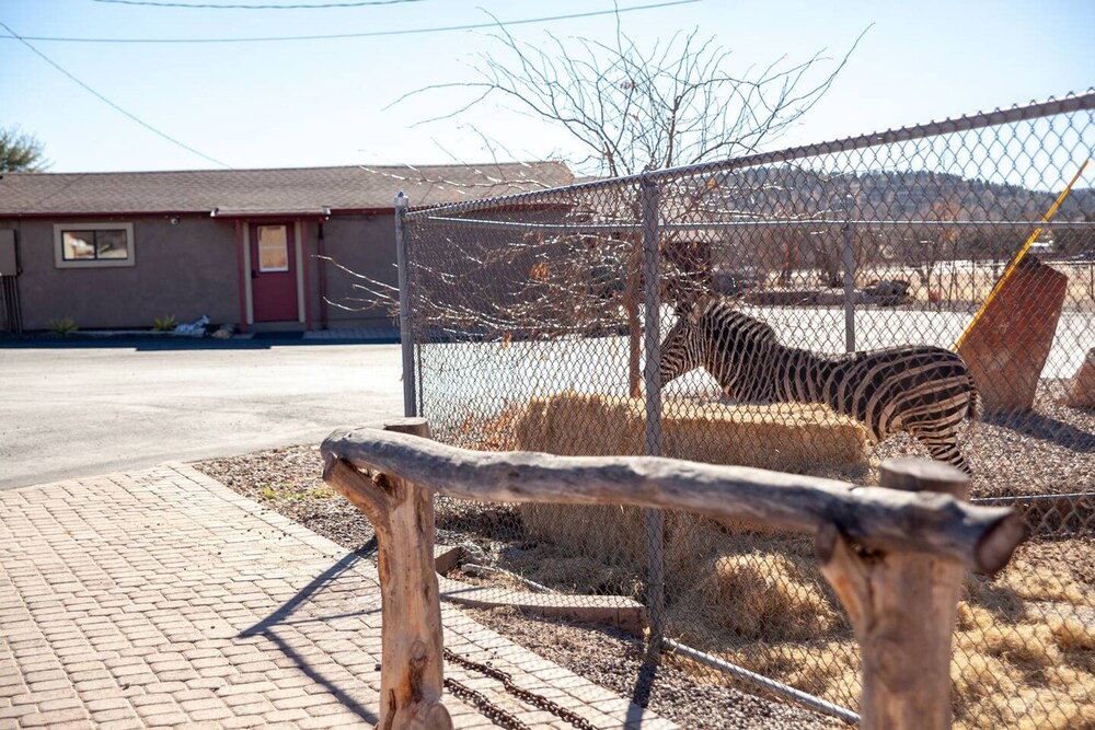 Zebra Refuge Cottage-wild Unique Prescott Stay
