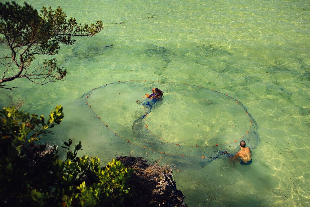 The Island - Pongwe Lodge - Adults Only