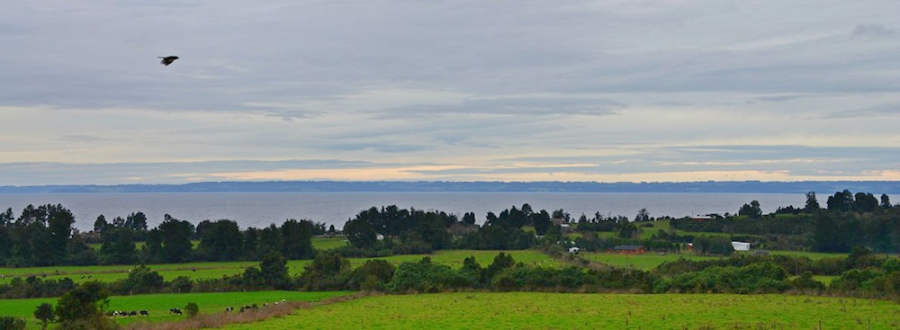Cabañas Anulen Puerto Varas