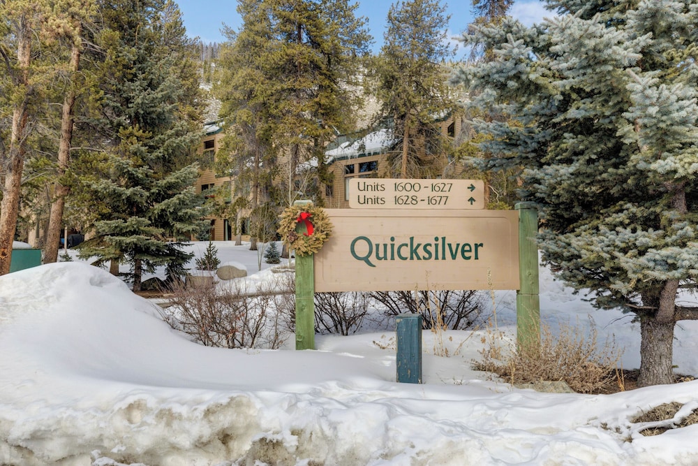 Quicksilver #1645