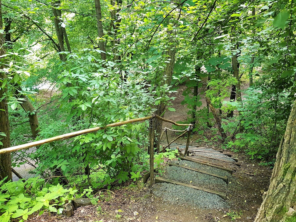 Photo 26