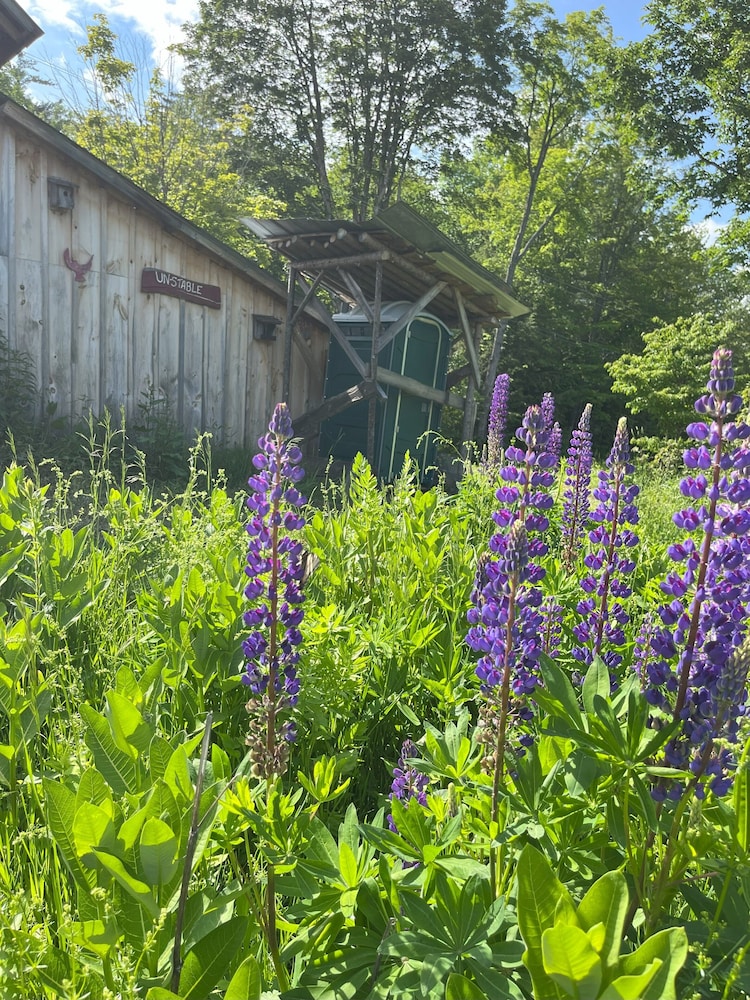 Streeter Mountain Farm view 2