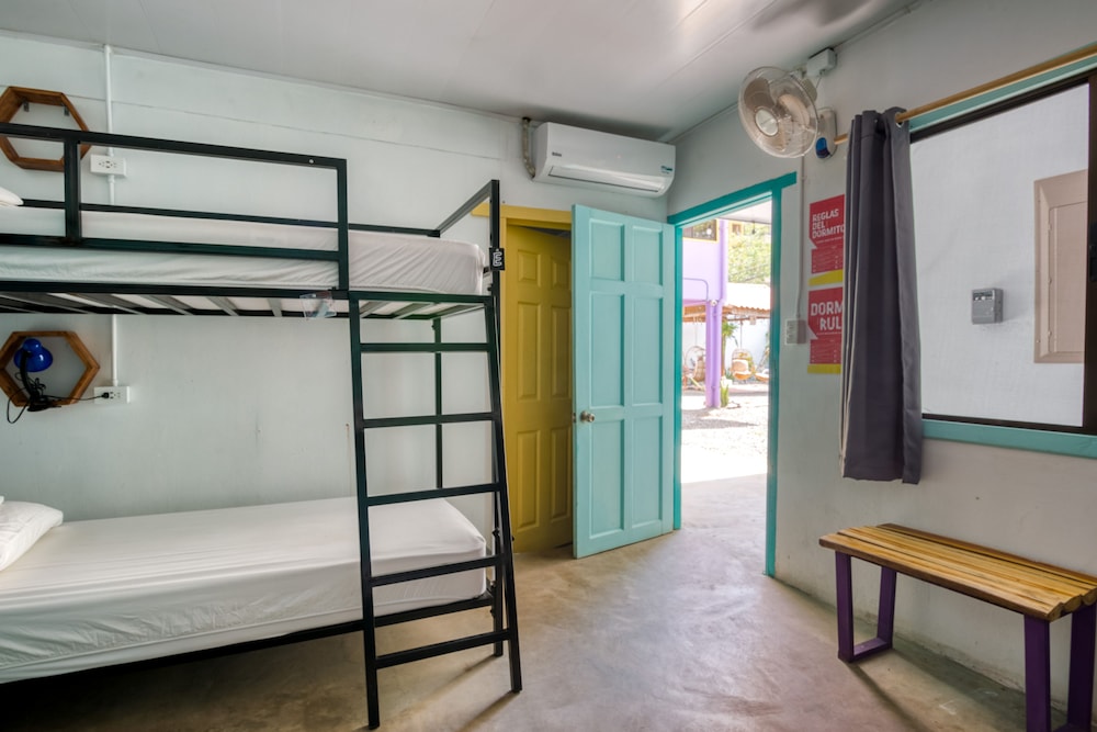 Selina Jaco - Hostel
