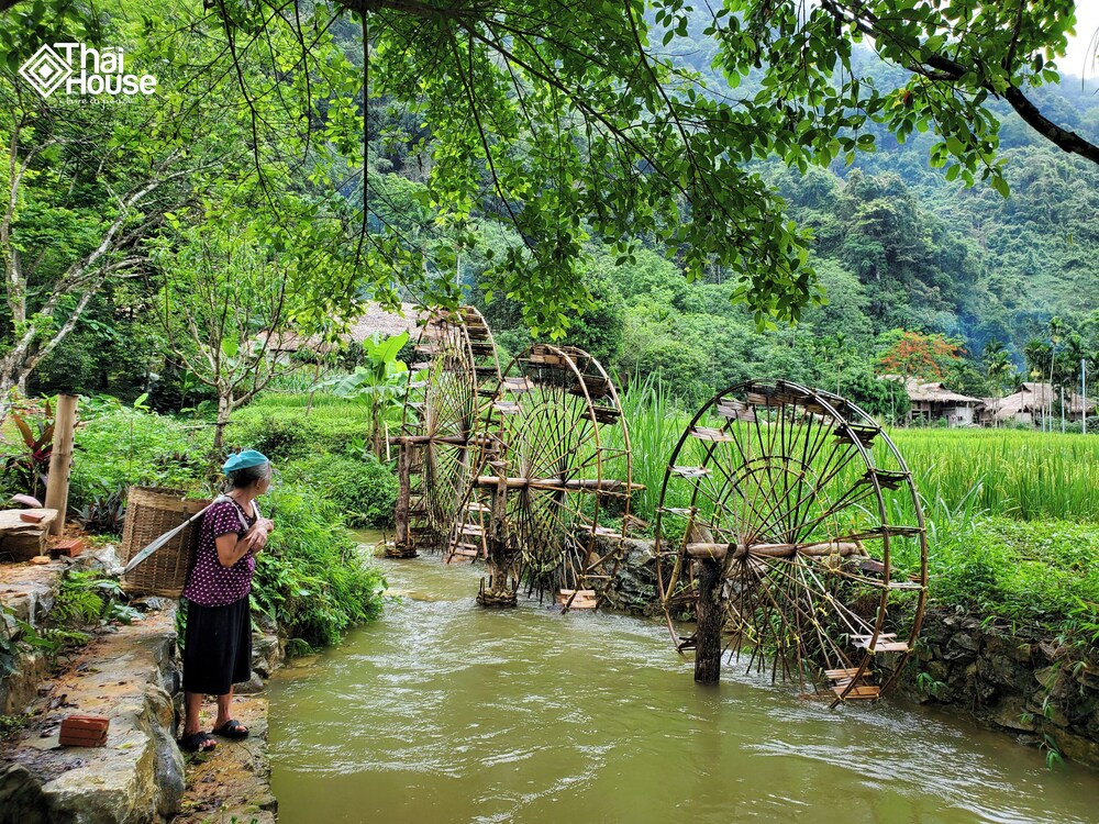 Thai House Pu Luong